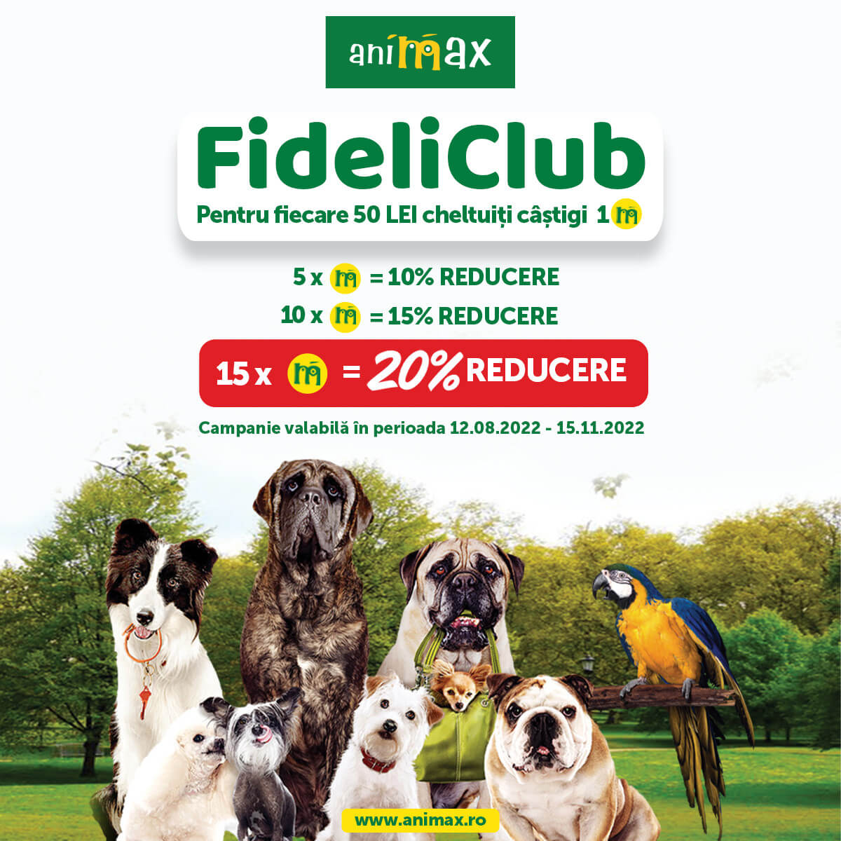 Tu ești în FideliClub Animax?